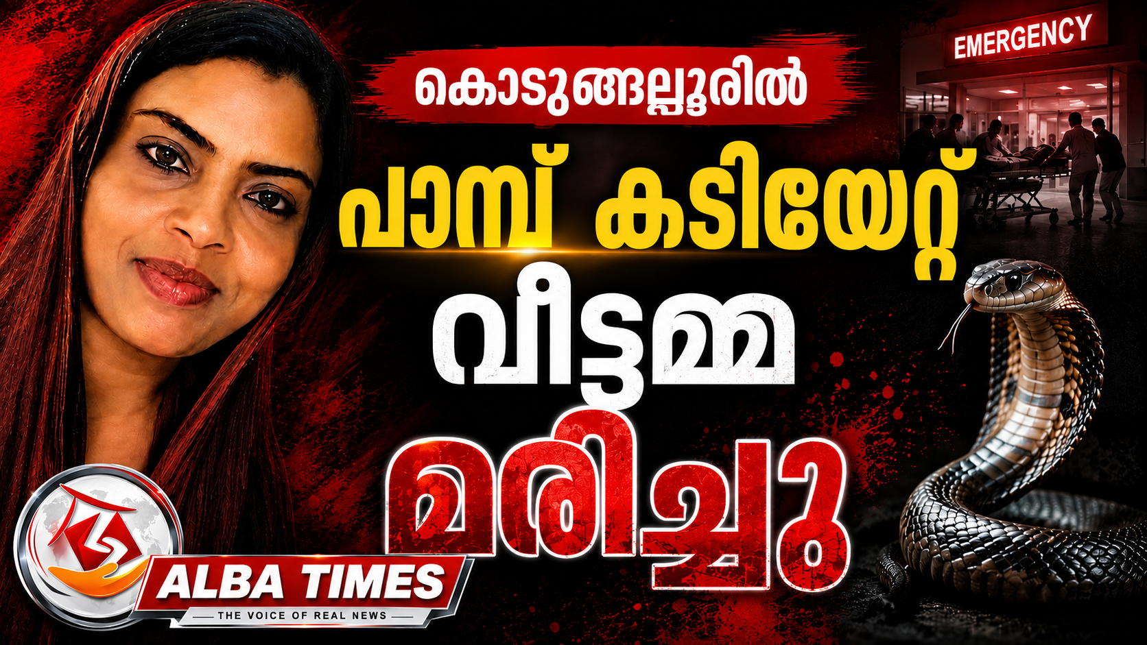 കൊടുങ്ങല്ലൂരിൽ പാമ്പ് കടിയേറ്റ് വീട്ടമ്മ മരിച്ചു.